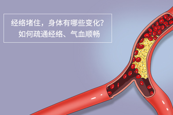 要如何通经络?现在教你几招|气血|经络|按摩