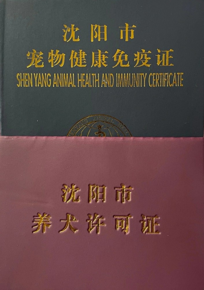 沈阳500元办狗证价格感觉贵狗狗到底占用了哪些社会资源