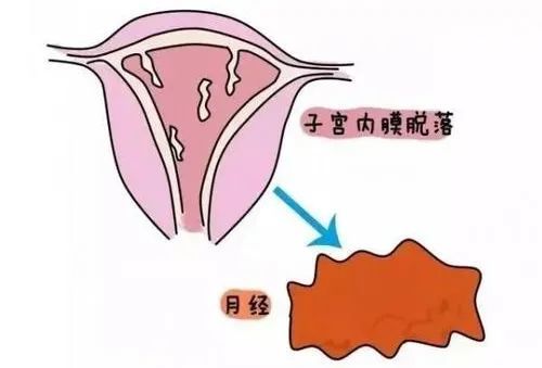 子宫内膜厚度多少才适合怀孕?