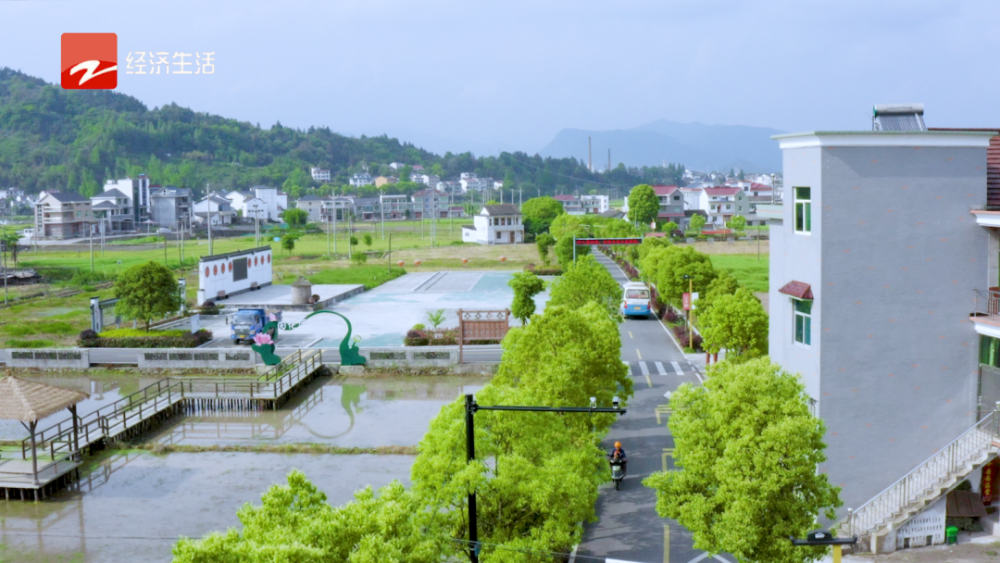 浙江經視《新時代浙江》第6期:建德市大同鎮富塘村