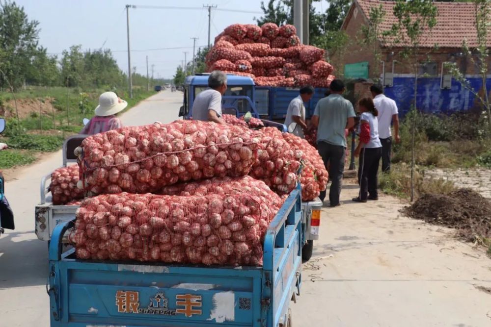 ɽȴ۸_ɽ¼۸_ɽ¼۸