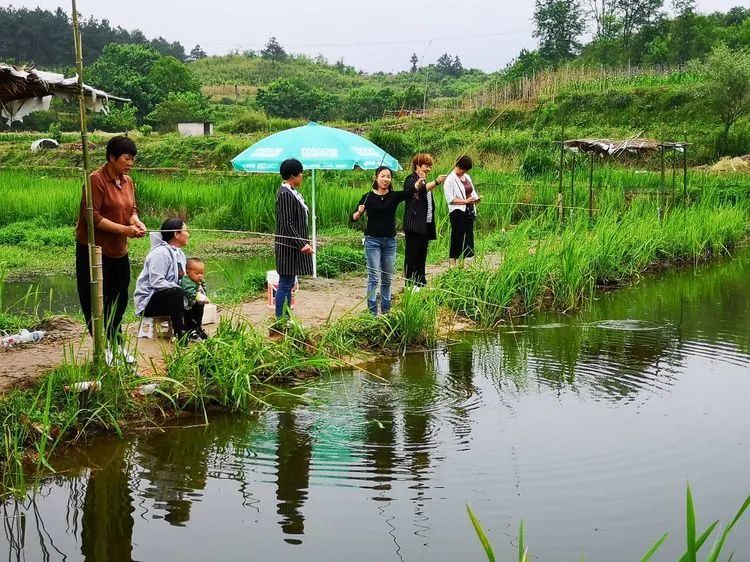 所以養殖龍蝦的水質很好,地下水非常充裕,坦頭龍蝦基地因為地勢較低