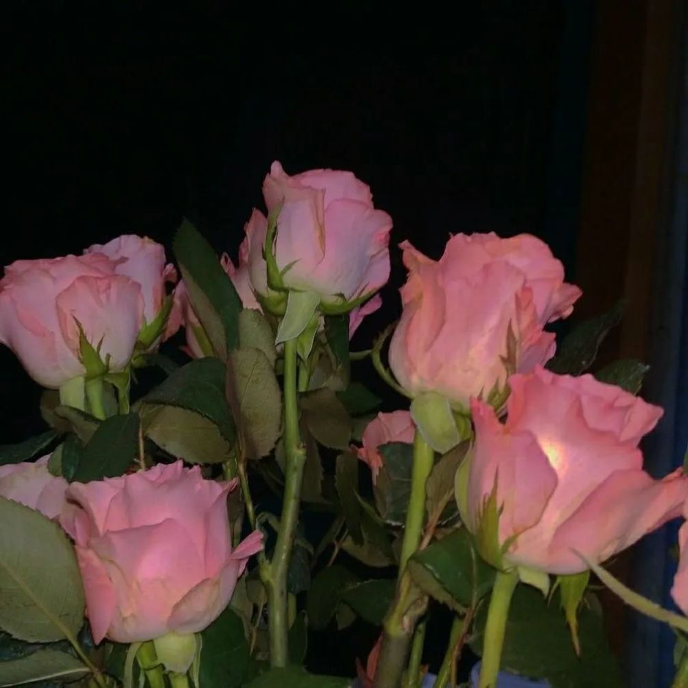 背景图ins风浪漫朋友圈封面图