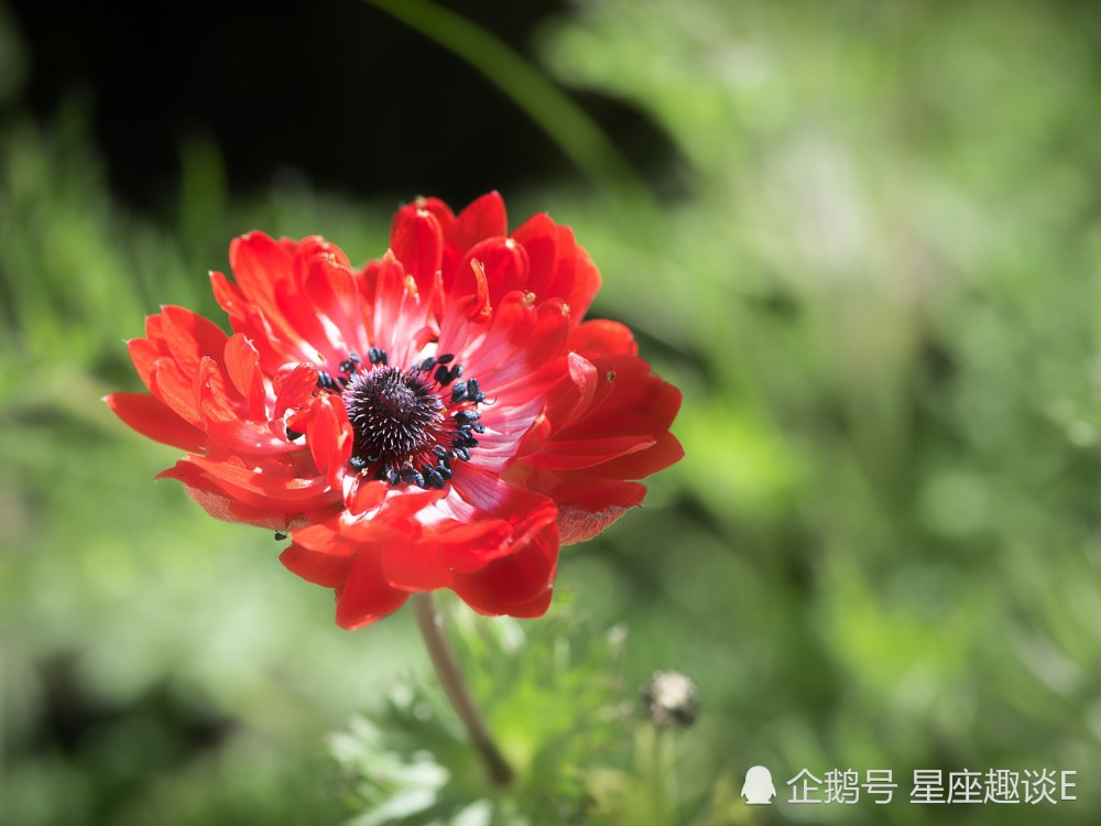 5月11日星座运势 养精蓄锐 乘势而上的四大星座 腾讯新闻