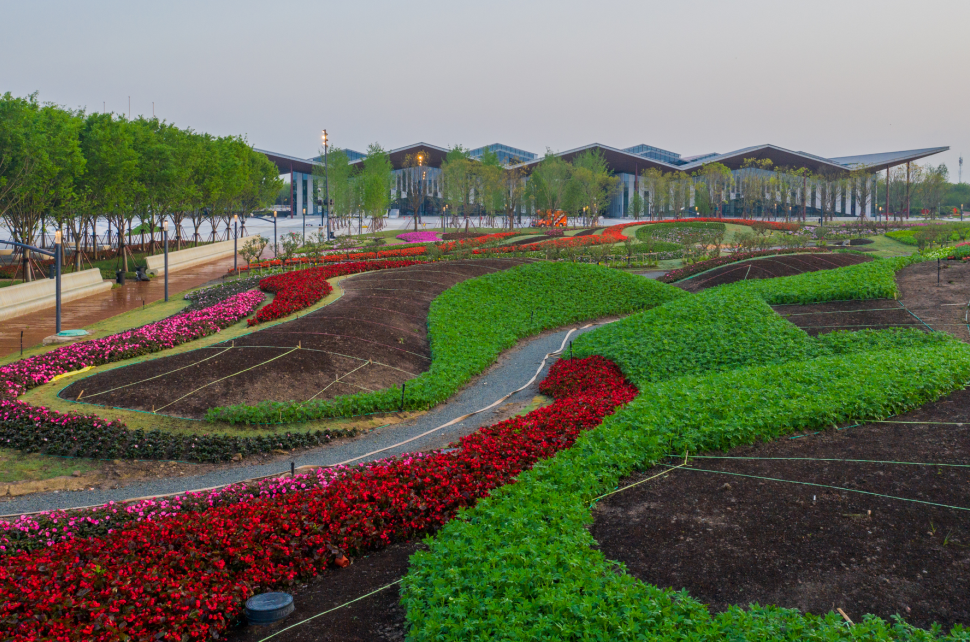 崇明花博 花博会 硬气 数据 让您观展有 底气 腾讯新闻