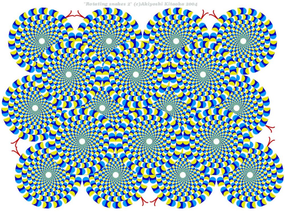 猫子视错觉的水太深你把握不住