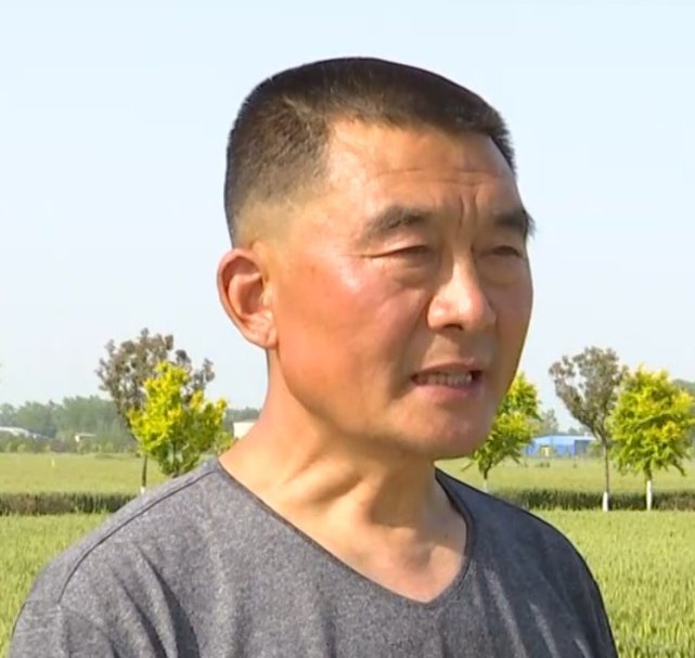 商水縣張莊鄉種糧大戶 邱守先