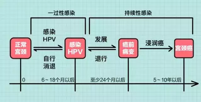 HPV是怎么感染的图片