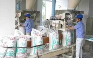 该开一家面粉厂还是做个包子铺