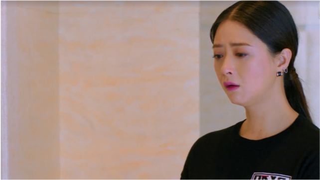 樊胜美在欢乐颂剧中到底扮演的是一个怎样的角色?