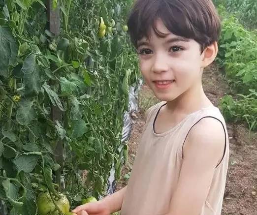 韩国7岁混血男孩爆红曾上爸爸去哪儿6天使颜值狂圈姨母粉