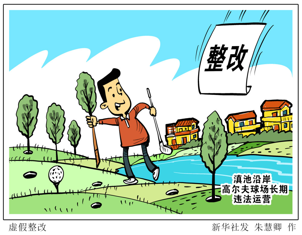 图表漫画新华视点聚焦中央生态环保督察虚假整改