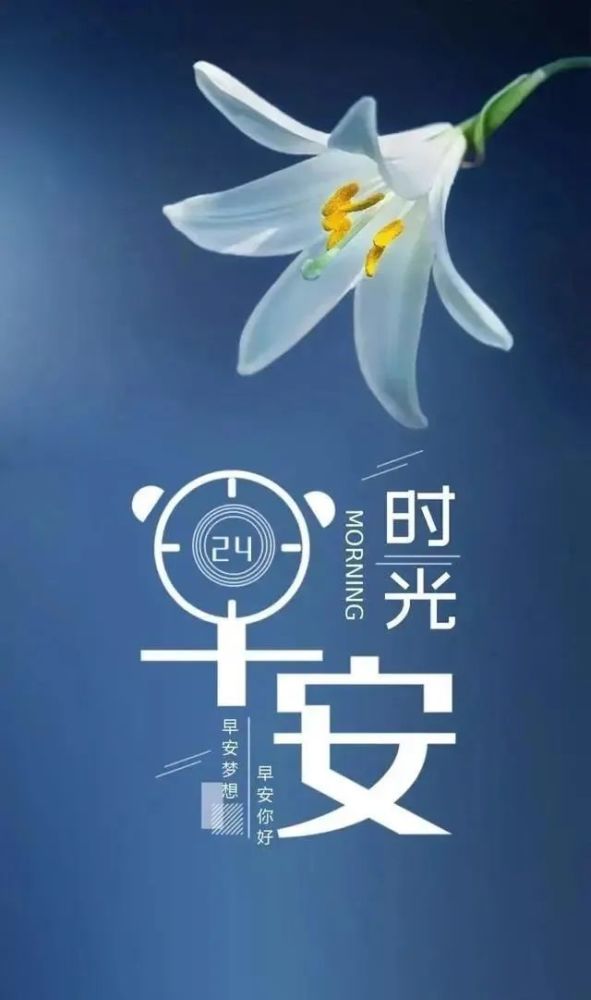 适合发朋友圈的充满阳光的早安图片句子5月11日早上好动图表情包初夏