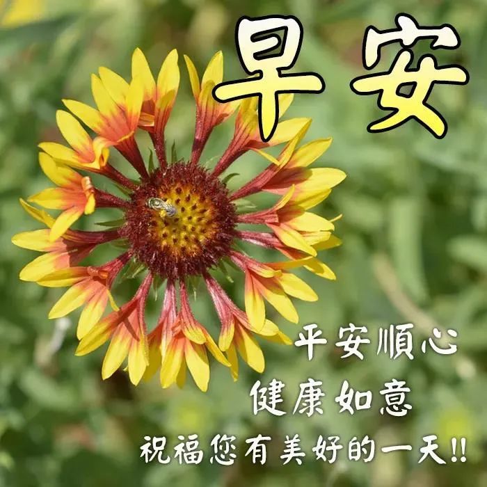 2021特别漂亮早上好问候图片,最新早上好图片动态的问候温馨简短句子