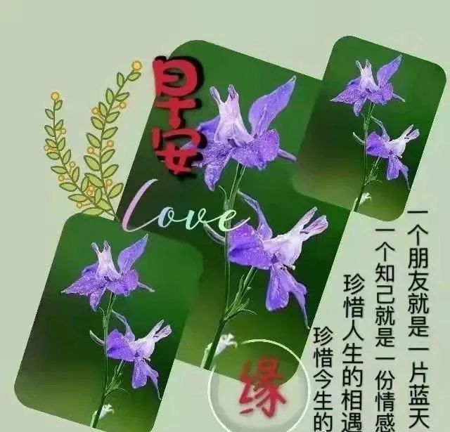 你念,我亦念,时光不老,就是最深的情意,爱在烟火人间,真情永照心田