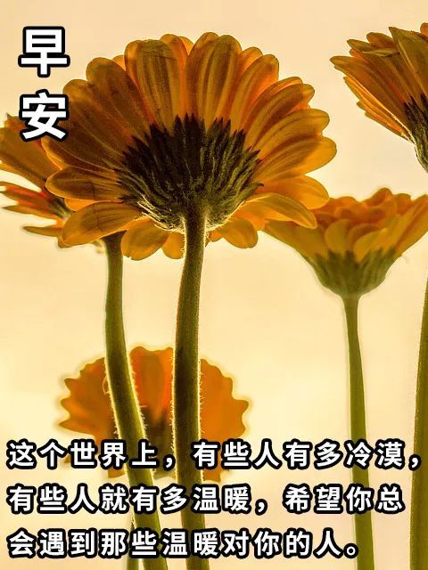 早安心語圖片帶字早安心語正能量一句話