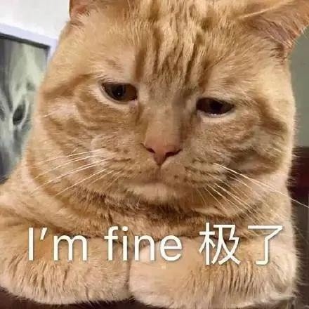 14岁男孩患脂肪肝,高血压等4 种病,医生:胖的