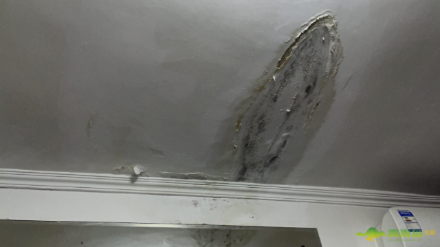 楼顶烟囱漏水家里遭了殃想启用公共维修基金邻居不同意咋办