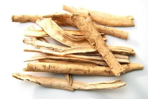 说药白鲜皮清热燥湿祛风解毒