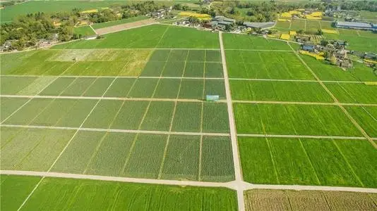 打开腾讯新闻,查看更多图片 >在高标准农田项目设计初期,中国太保产险