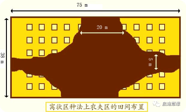 地理素养耕作技术垄作畦作畎亩圳田区田铺砂