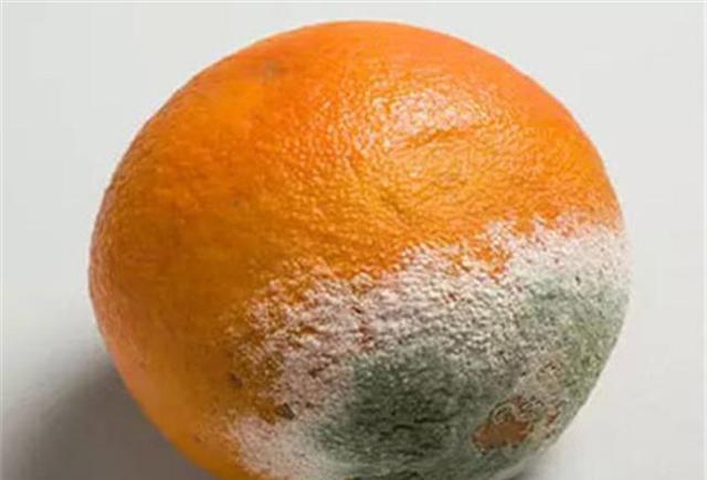 印度再现危机比新冠更可怕的疫病正在发生致死率高达50