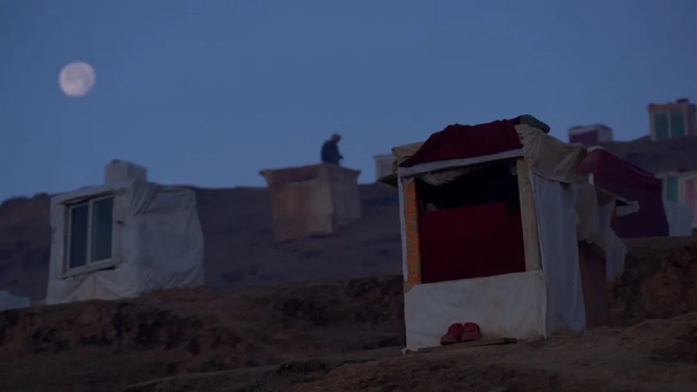 美国影评媒体眼中的《绛红森林》