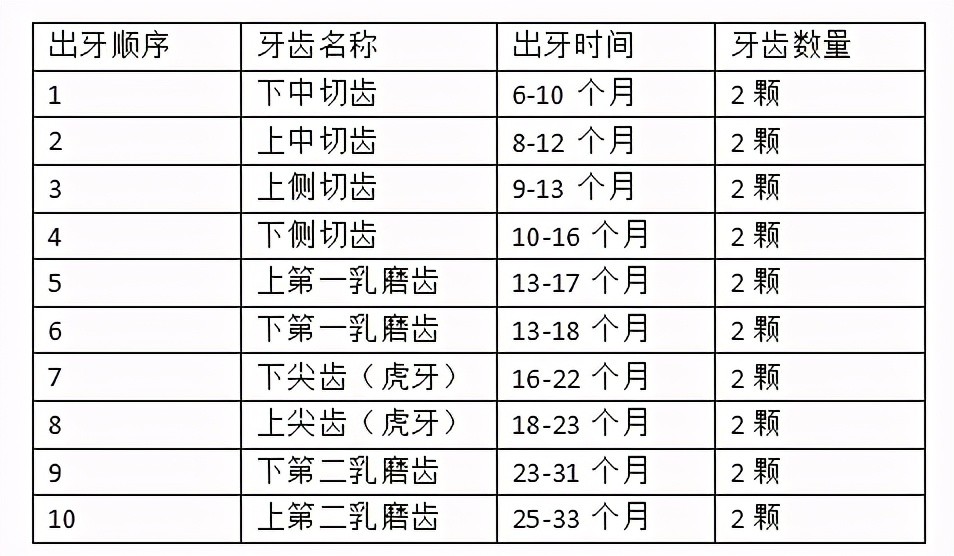 千万别错过这份长牙顺序表 内附宝宝磨牙辅食做法 腾讯新闻