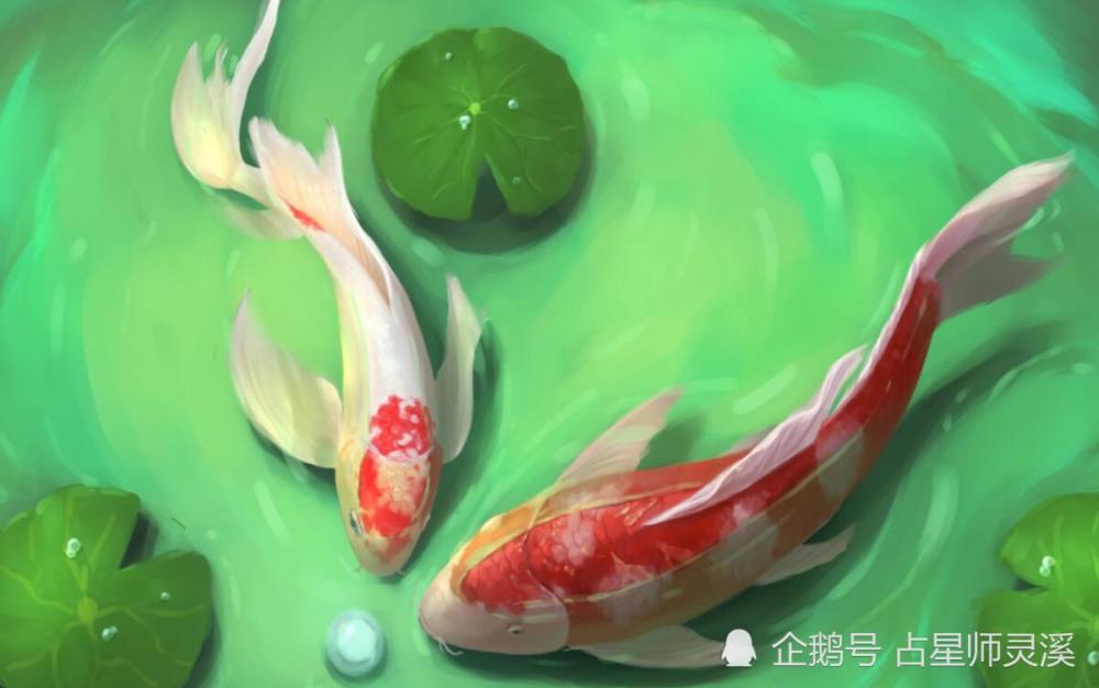 运势百尺竿头更进一步 哪些星座5月11日后一直交好运 腾讯新闻