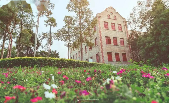 考研 厦门大学 坐落在海岸之滨 百年历史 中国最美大学之一 腾讯新闻