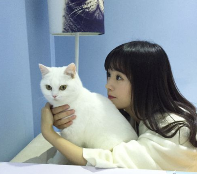 鞠婧祎我爱喵星人定档影片中造型被嘲老土还好男主养眼