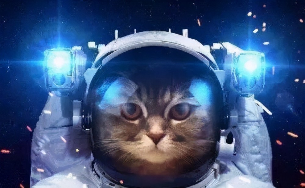 太空猫公链的性能优势这篇文章讲得最通透
