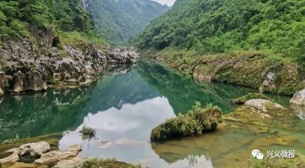 黔西南安龙黄角树变网红野景点别让安全提示成摆设