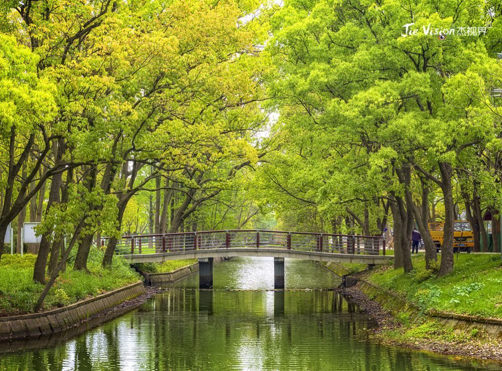 五一后迅速爆红的"万公堤"有何魅力?_腾讯新闻