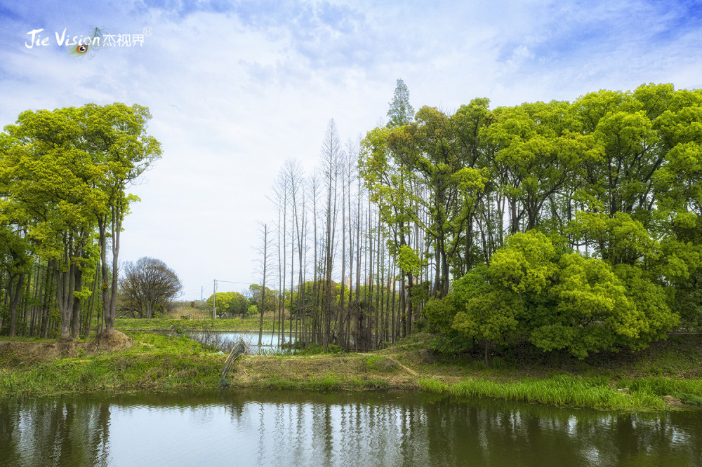 五一后迅速爆红的"万公堤"有何魅力?_腾讯新闻