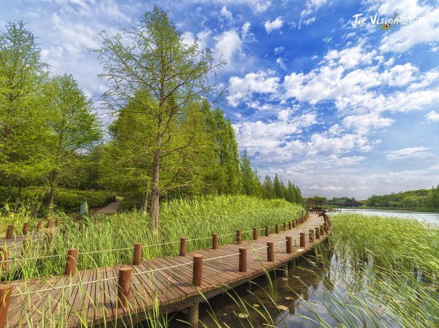 五一后迅速爆红的"万公堤"有何魅力?