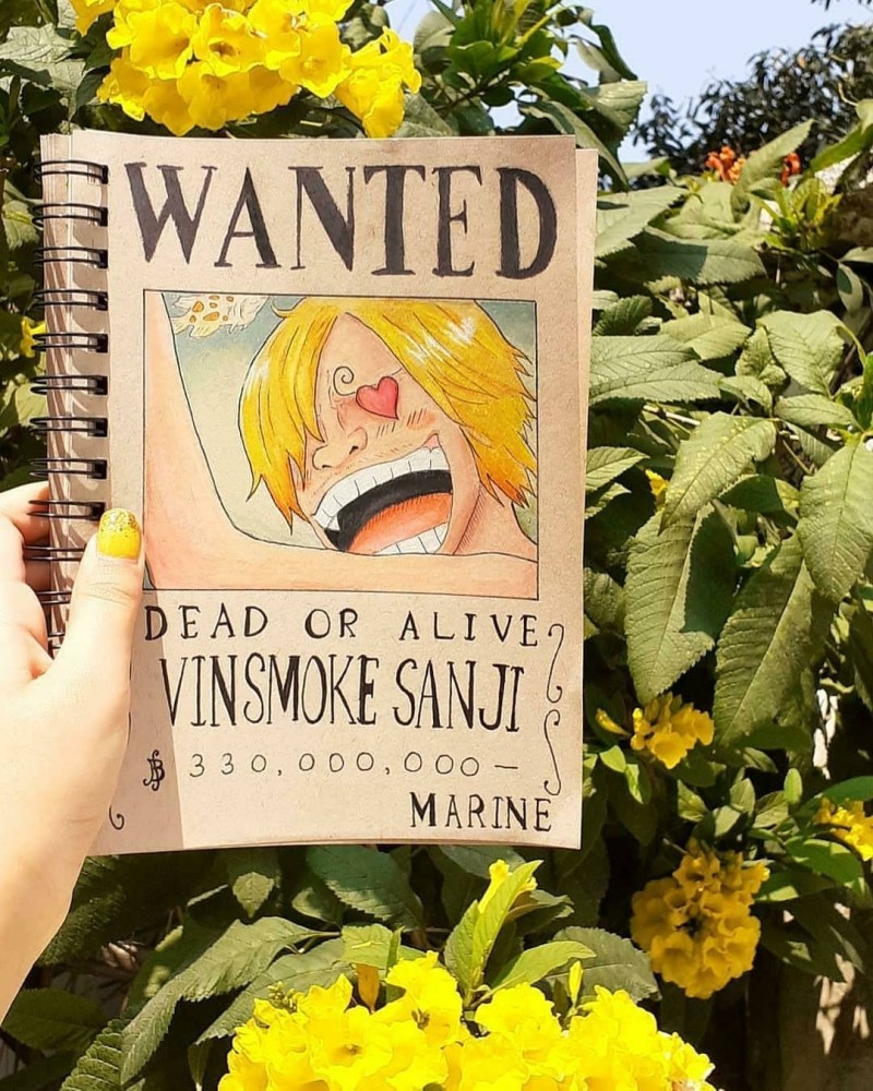 网友自绘海贼王悬赏令虽然没尾田画得好但是生活趣味浓