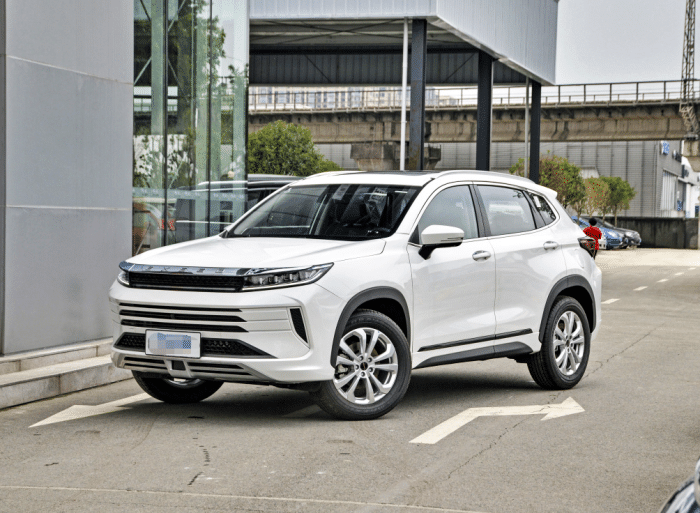 星途lx,外观设计豪华大气,你会喜欢吗?