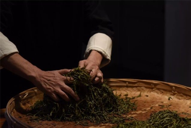 稀白杯《中国明星制茶师》绿茶赛区,大幕将启,等你来战!