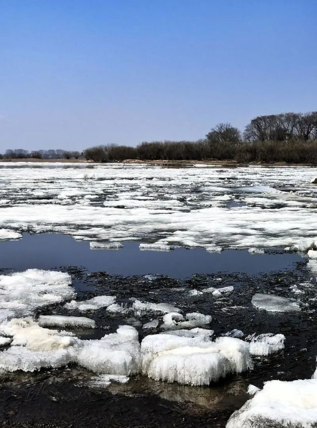 黑龙江上跑冰排张晓艳手机拍摄