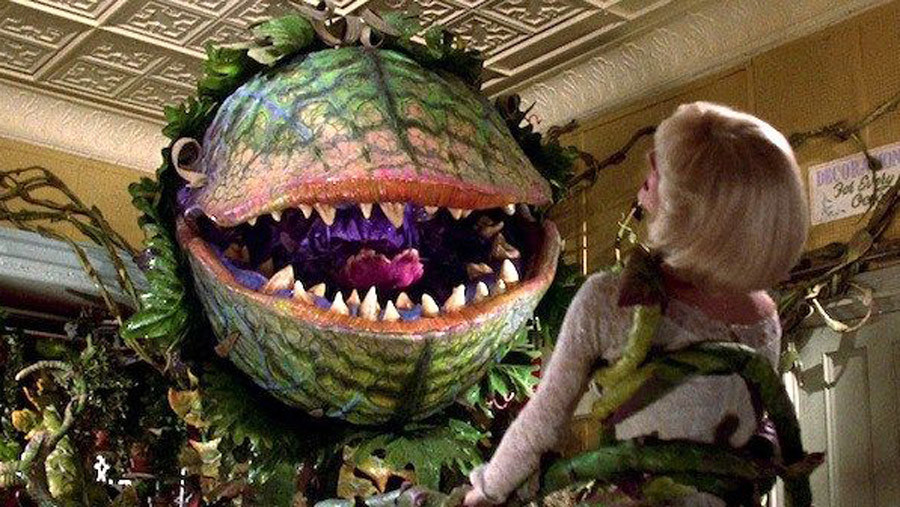 甚至网络上还传言,有多位学者发现了一种巨型能够吞食老鼠的食肉植物