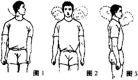 送你不花一分钱的徒手操(有图有真相)!