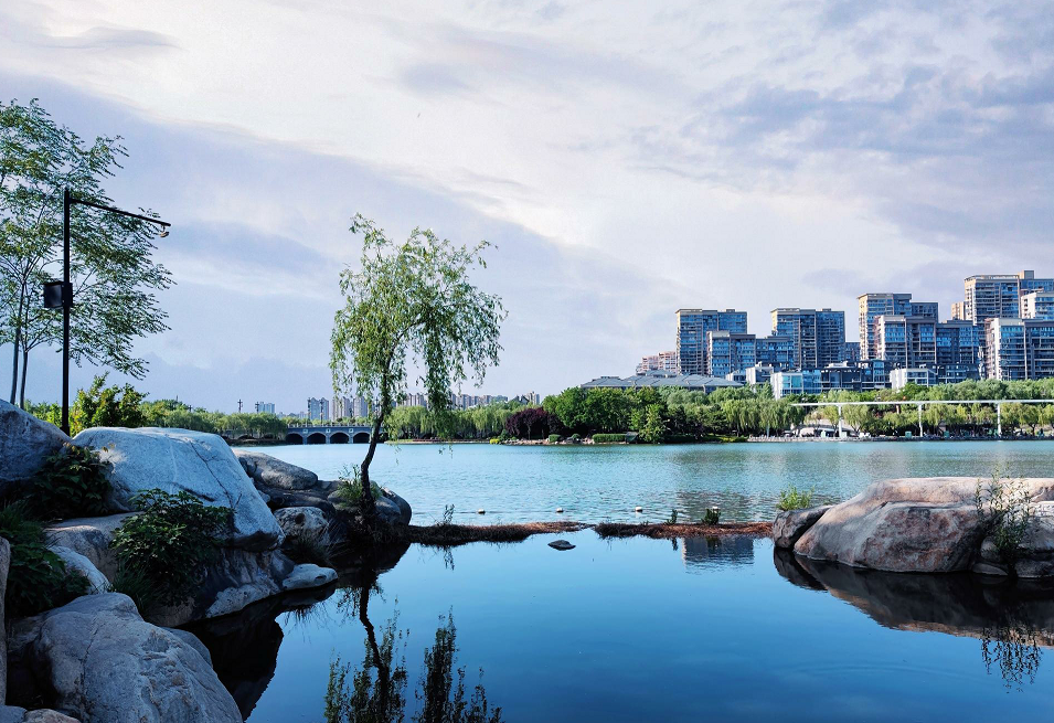 曲江池水有哪些不为人知的秘密