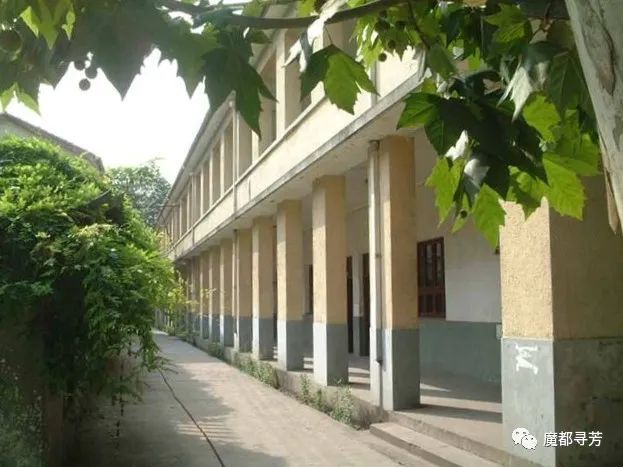 曹杨中学的篱笆墙