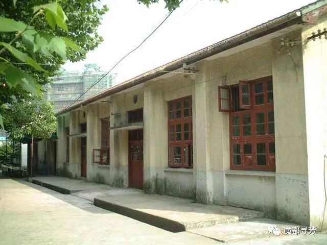 曹杨中学的篱笆墙