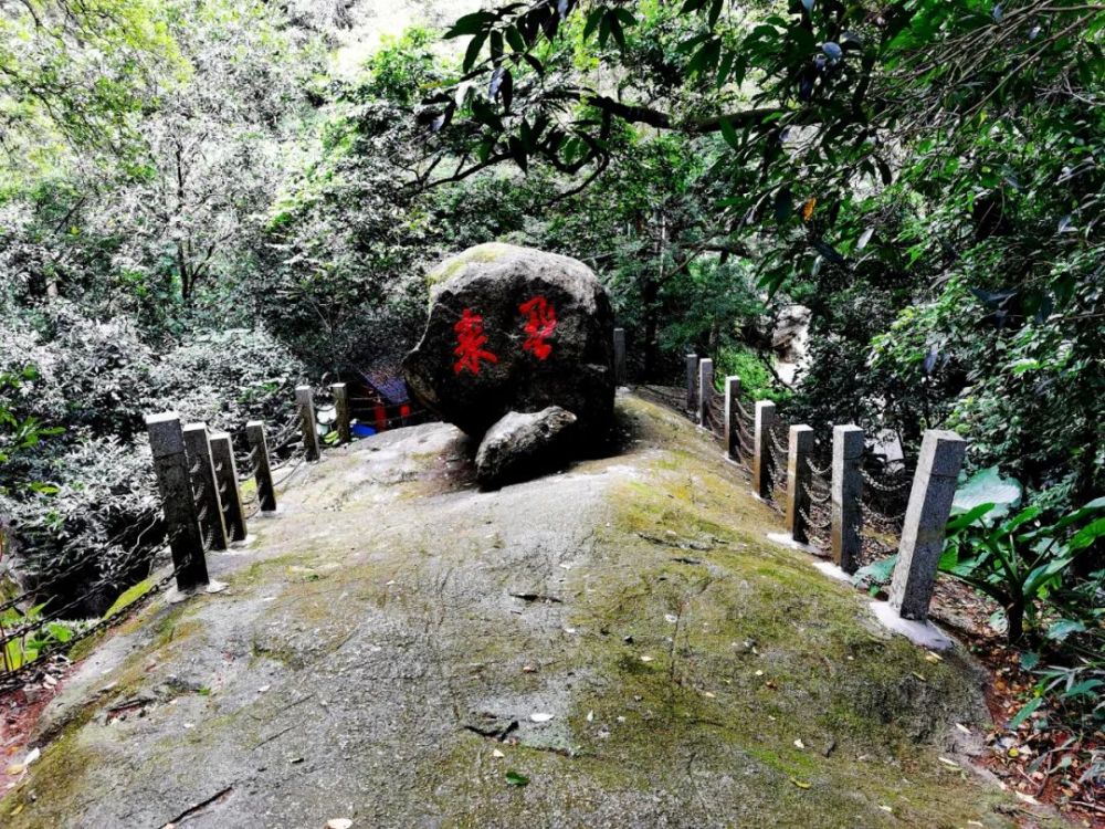 羅浮山仲向陽系列遊記