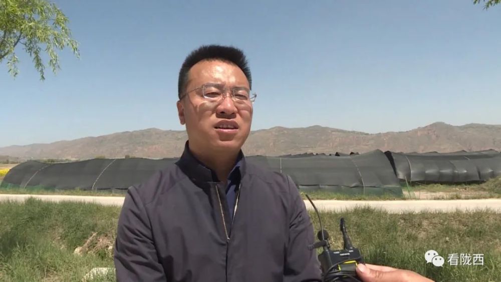 陇西县首阳镇副镇长 包大为我镇在现有的25座香菇大棚中 共装菌棒17.