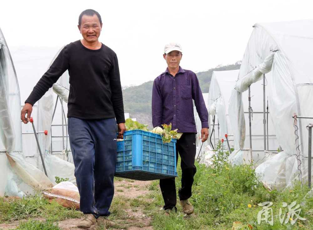 宁海长街:"甜蜜"产业喜获丰收