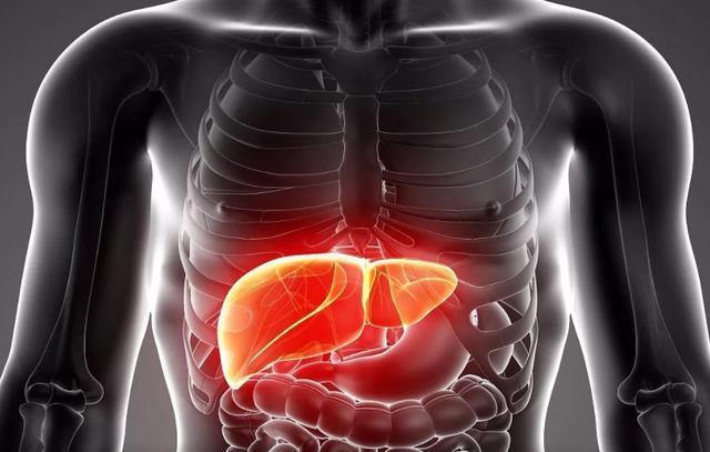 肝部有异,头部先知?若出现4个"异常",建议趁早做个ct检查