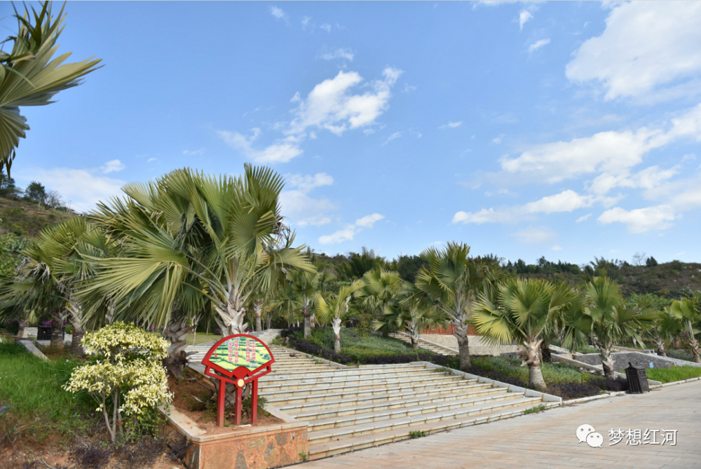 城市一景——"凤凰花开"民族大团结大融合随着国家的繁荣昌盛红河县城